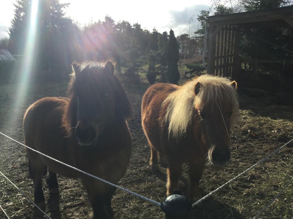 Zu Jeddelohs Lodge Hotel Gladenbach Esterno foto